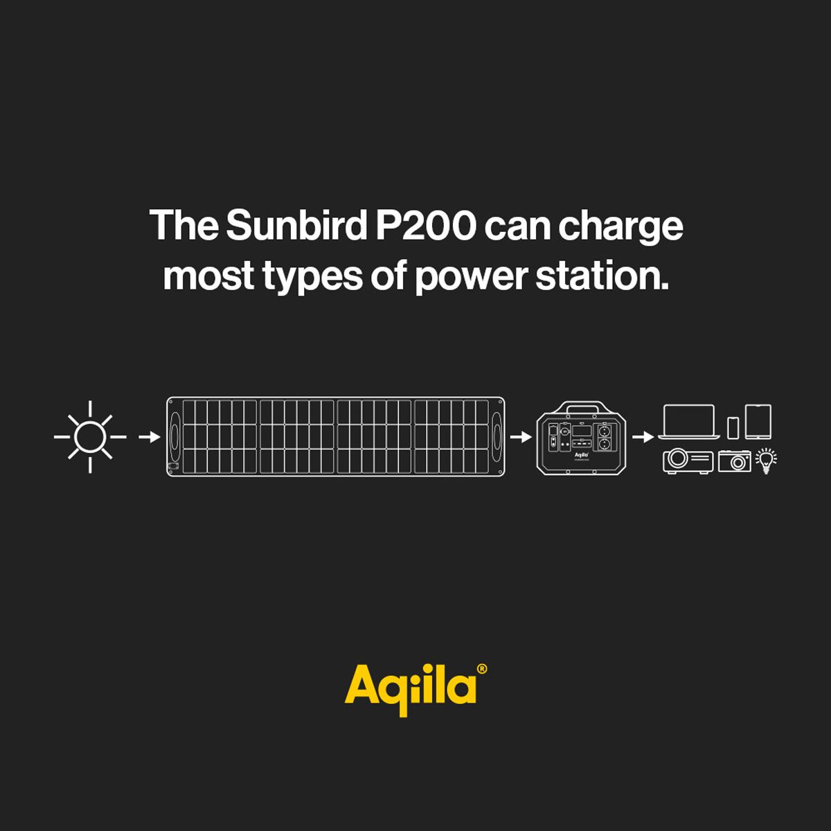 Aqiila Powerbird S3000V2, Station d'alimentation 3000W