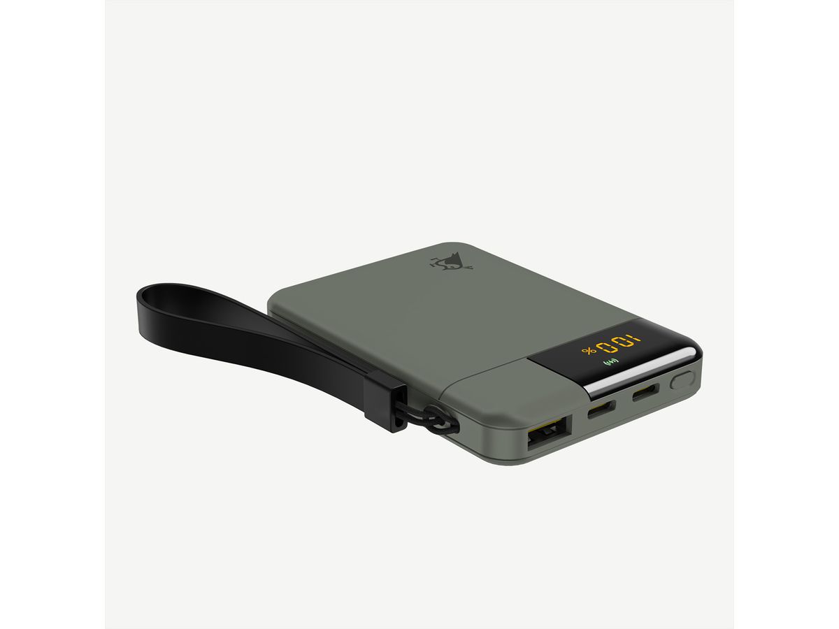 Aqiila Powerbank Powerbird B10, 12W, vert mousse, 5.000 mAh