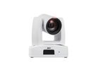 Aver PTZ-Kamera PTZ231 schwarz, 30x Zoom, 1080p60, schwarz