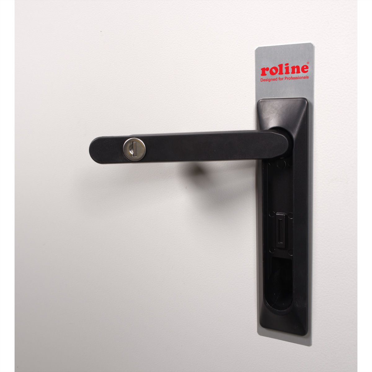 ROLINE 19-Zoll Wandgehäuse Pro 12 HE, 600x600 BxT IP55 outdoor grau