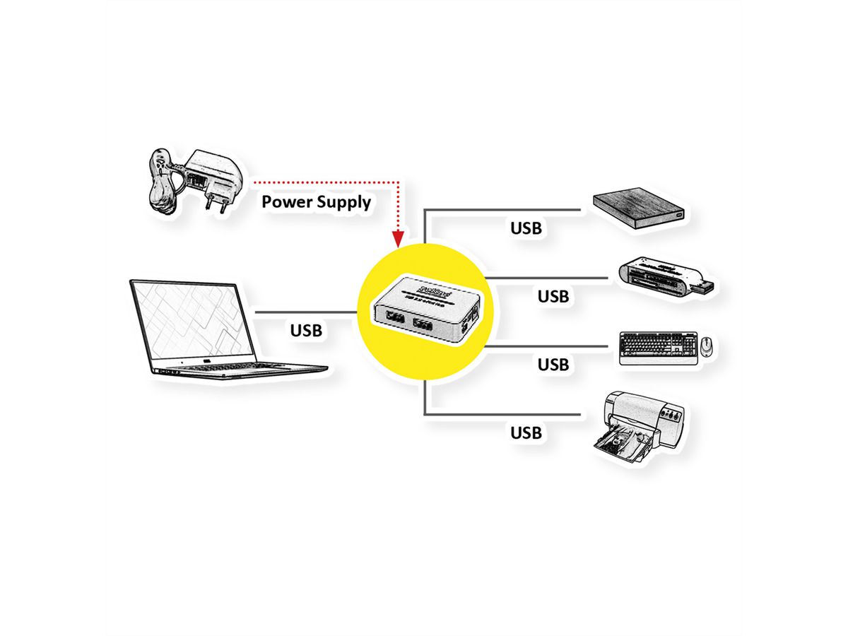 ROLINE Hub USB 2.0 "Black and White", 4 ports, avec alimentation