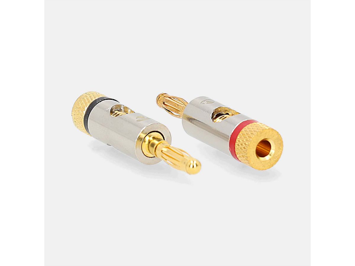 Nedis Bananestecker, 2 Stück, Silber-Gold