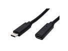 VALUE Video-Verlängerungskabel (DP Alt Mode) USB Typ C-C, ST/BU, schwarz, 1,5 m