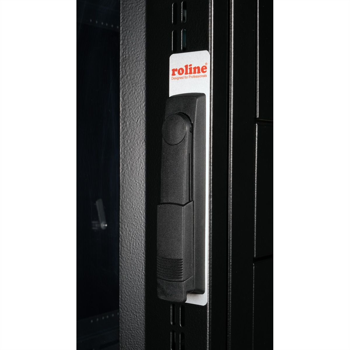 ROLINE 19" Baie serveur Pro 42U, 600x1000 LxP noir Plexiglas