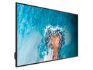 Hisense Signage Display 50GM50D, 50", 18/7, UHD, 500cd/m², 25% Haze
