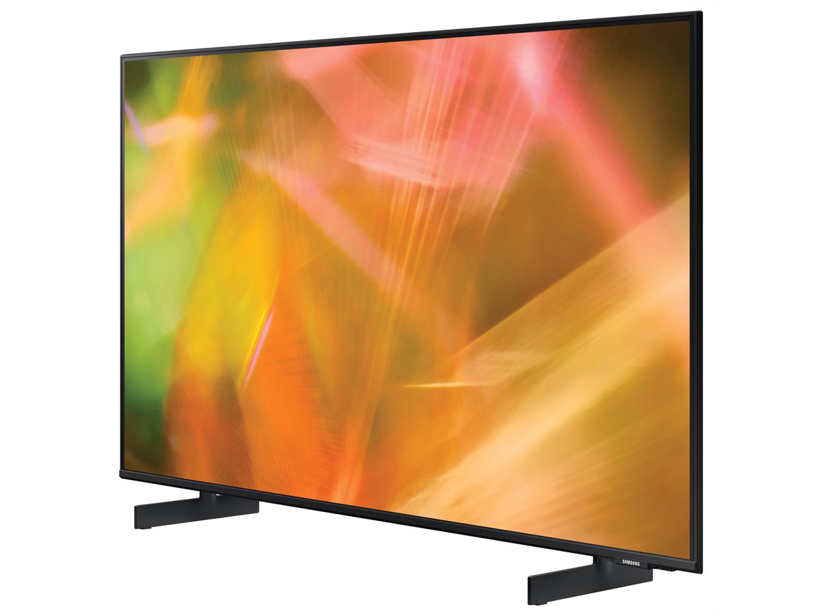 Samsung Hotel TV HG55AU800, 55", schwarz, UHD, DVB-T2/C/S2