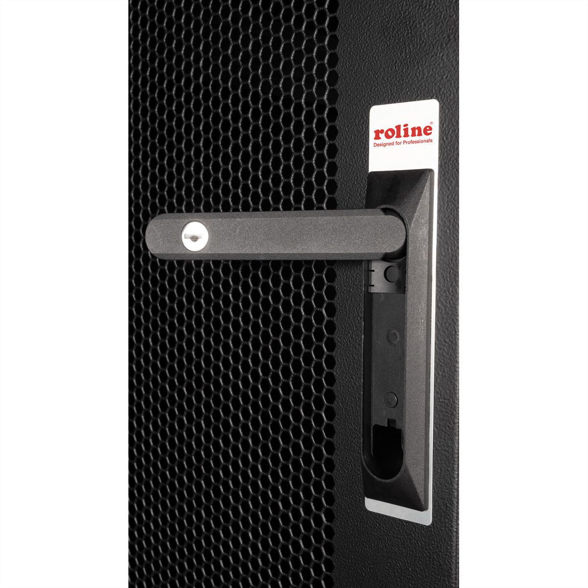 ROLINE 19" Baie serveur Basic 42U, 600x1000 LxP Porte perforée noir