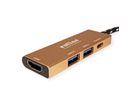 ROLINE GOLD Station d'accueil USB type C, 4K HDMI, 2 ports USB 3.2 Gen 1, 1x USB type C PD (Power Delivery)