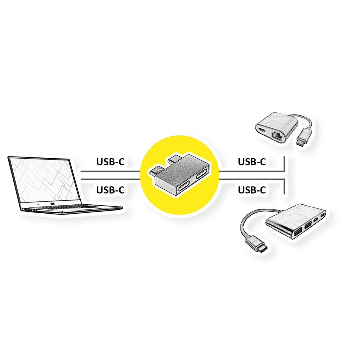 ROLINE Adaptateur USB 3.2 Gen 2, 2x USB Type C - 2x USB Type C,  M/F, argent