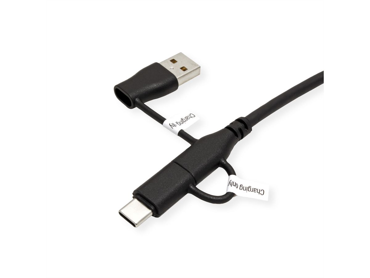 ROLINE Câble USB 2.0 type C, M/M, avec protecteur de données USB, type A+c, 1 m