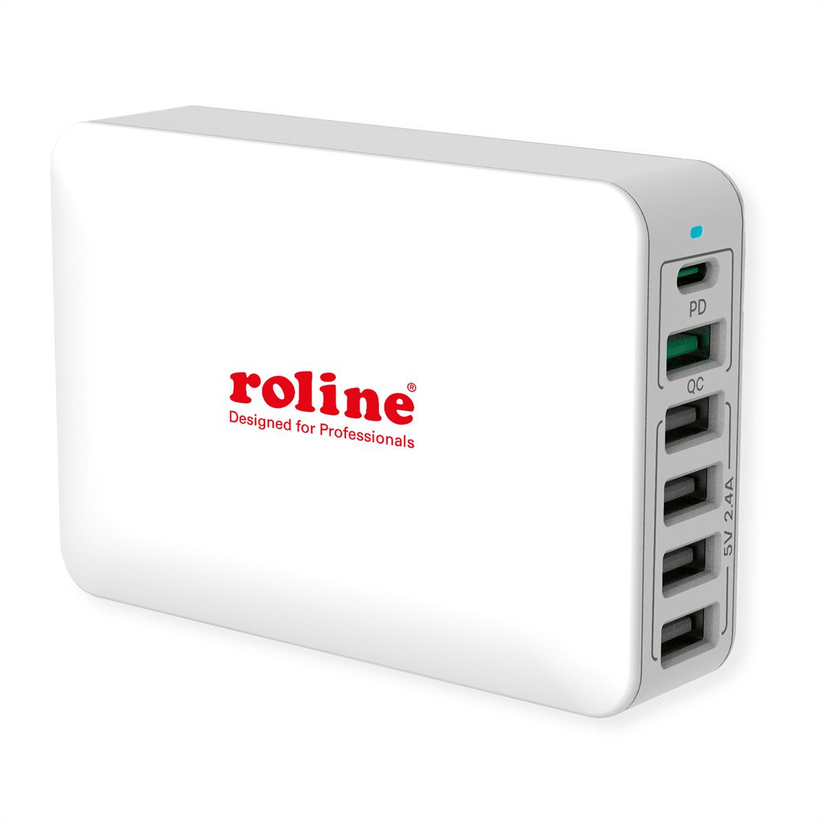 ROLINE Chargeur USB 6 ports USB (4x USB A, 1x USB C, 1x USB A QC3.0), max. 60W