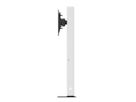 Hagor Medienstele CON-Line Big FS Lift, Cisco WebEx Board Pro 55"