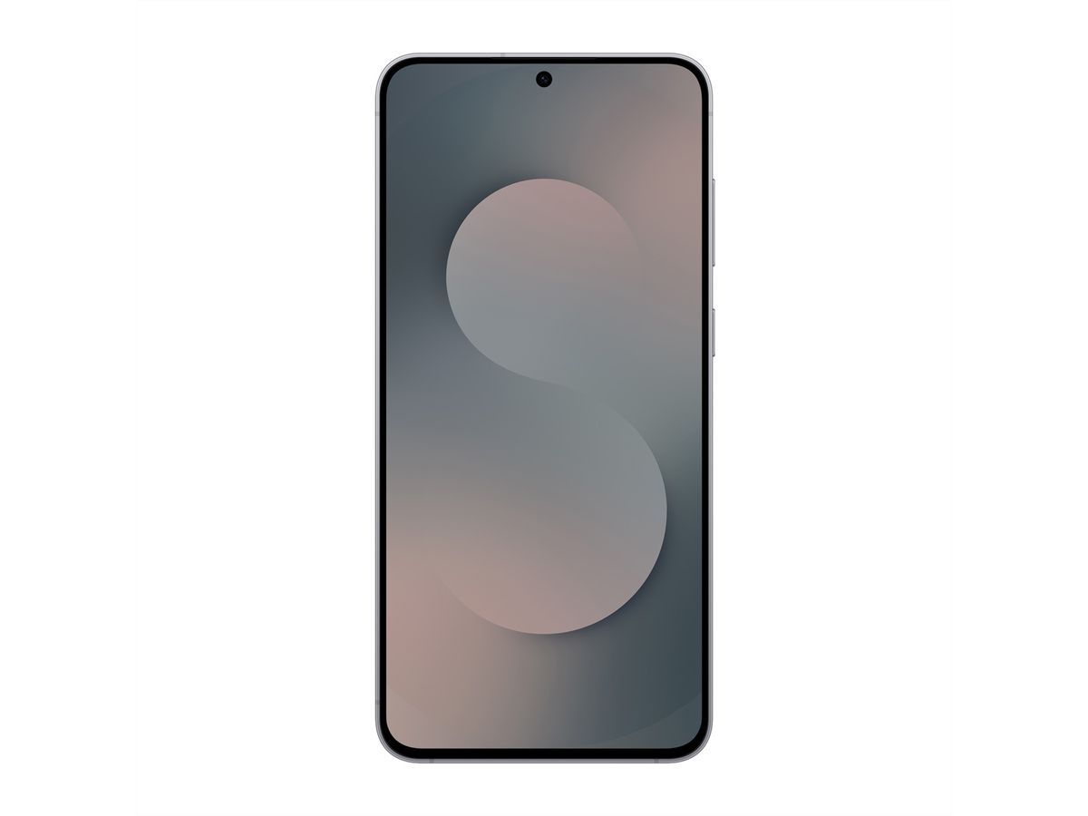Samsung Galaxy S25 FE Enterprise Edition, 256GB, schwarz