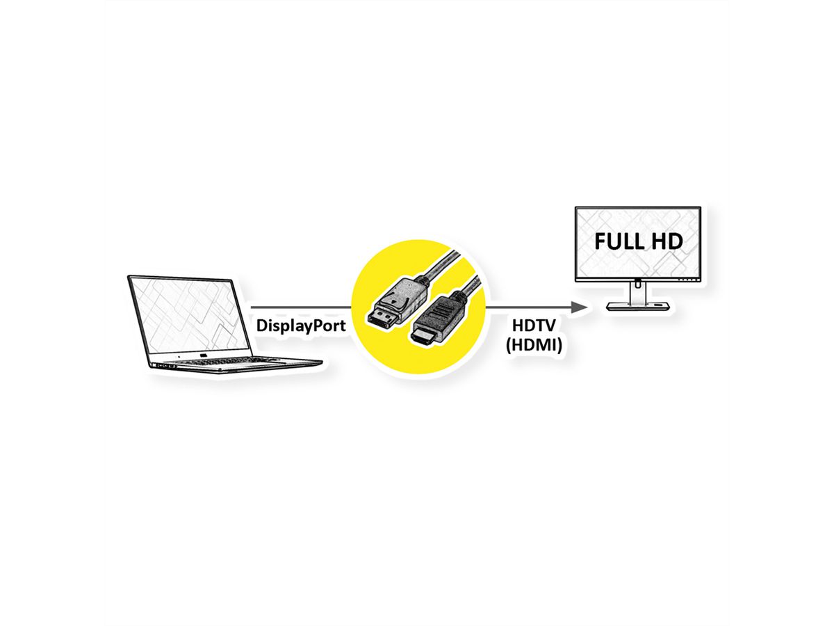 ROLINE Câble DisplayPort DP - HDTV, M/M, noir, 1 m