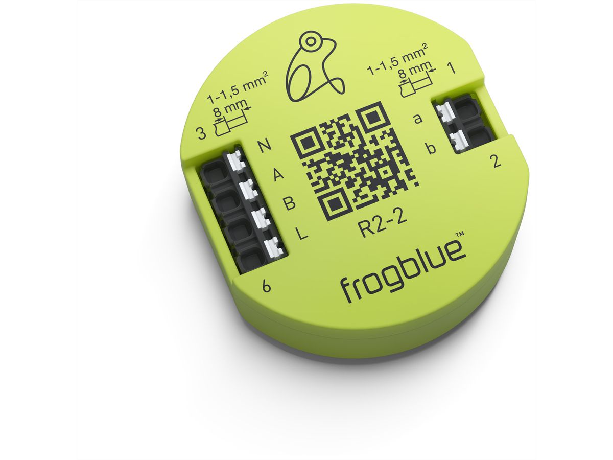frogblue, frogRelay2-2-PF, interrupteur de relais à 2 canaux avec 2 entrées et sorties