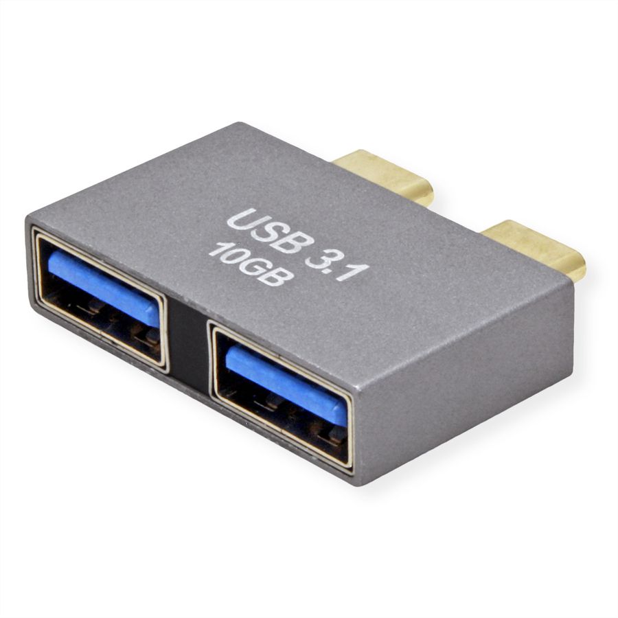 ROLINE Adaptateur USB 3.2 Gen 2, 2x USB Type C - 2x USB Type A,  M/F, argent