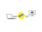 ROLINE GOLD Adaptateur DisplayPort - HDMI, 4K, v1.2, DP M-HDMI F