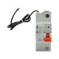 Shelly Leistungsschutzschalter 1CB C40, grau