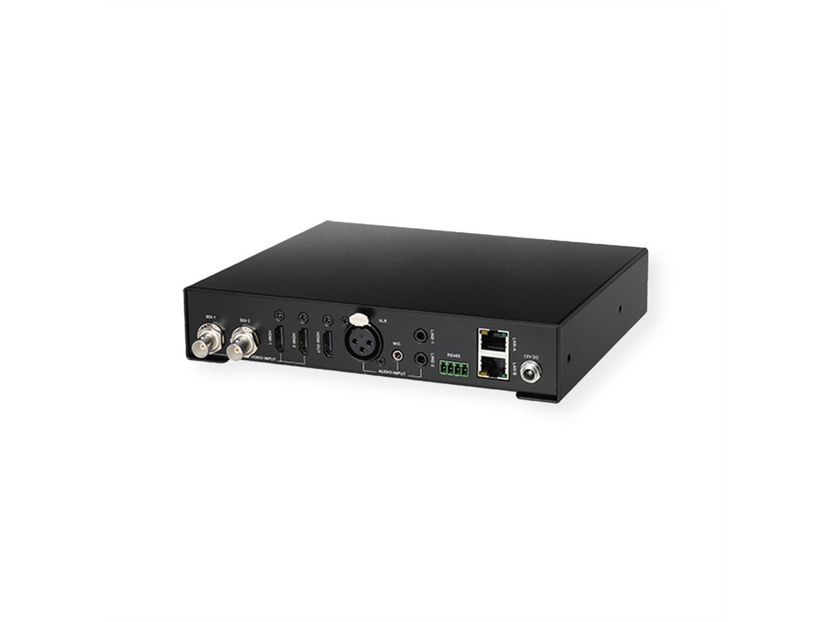 Aver Professionelle Streaming-Box SB-520, schwarz