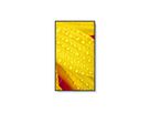 NEC Signage Display MultiSync M551-2, 55", UHD, 24/7, 500cd/m²