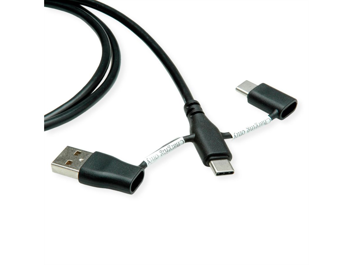 ROLINE Câble USB 2.0 type C, M/M, avec protecteur de données USB, type A+c, 1 m