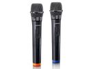 Lenco 2x Wireless Mikrofon MCW-020BK