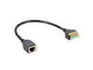 ROLINE Câble adaptateur RJ45 femelle vers bloc terminal, 30 cm