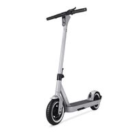 SoFlow E-Scooter SO ONE PRO GEN2, Silver grey