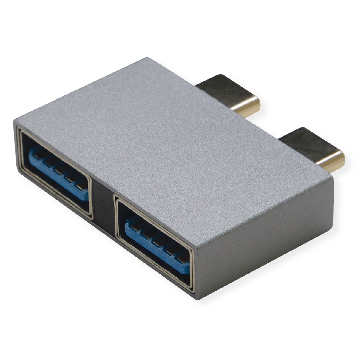 ROLINE Adaptateur USB 3.2 Gen 2, 2x USB Type C - 2x USB Type A,  M/F, argent