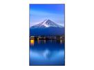 Sharp Signage Display MultiSync P436, 43", UHD, 24/7, 700cd/m²
