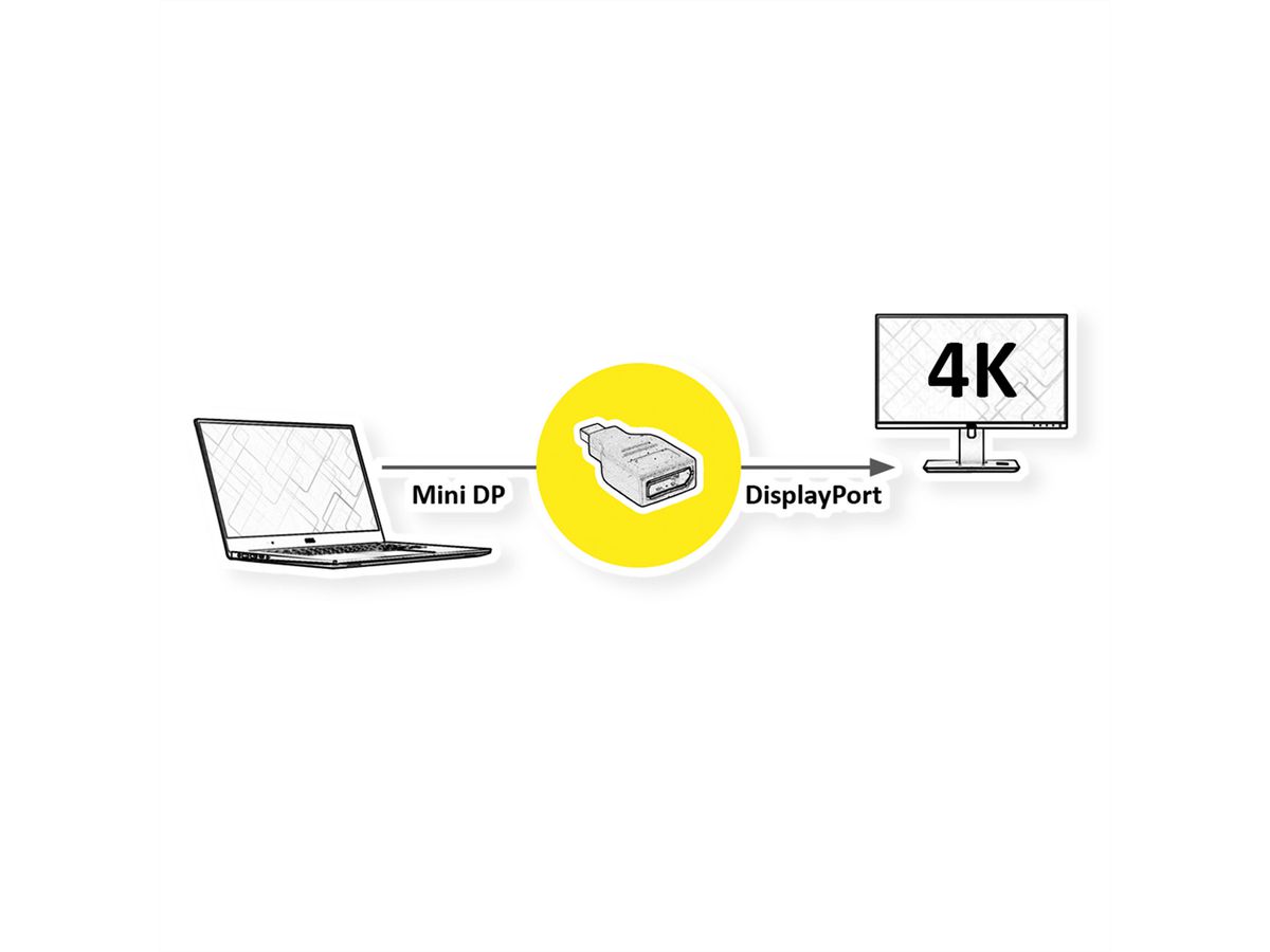 ROLINE Adaptateur DisplayPort, DP F-Mini DP M