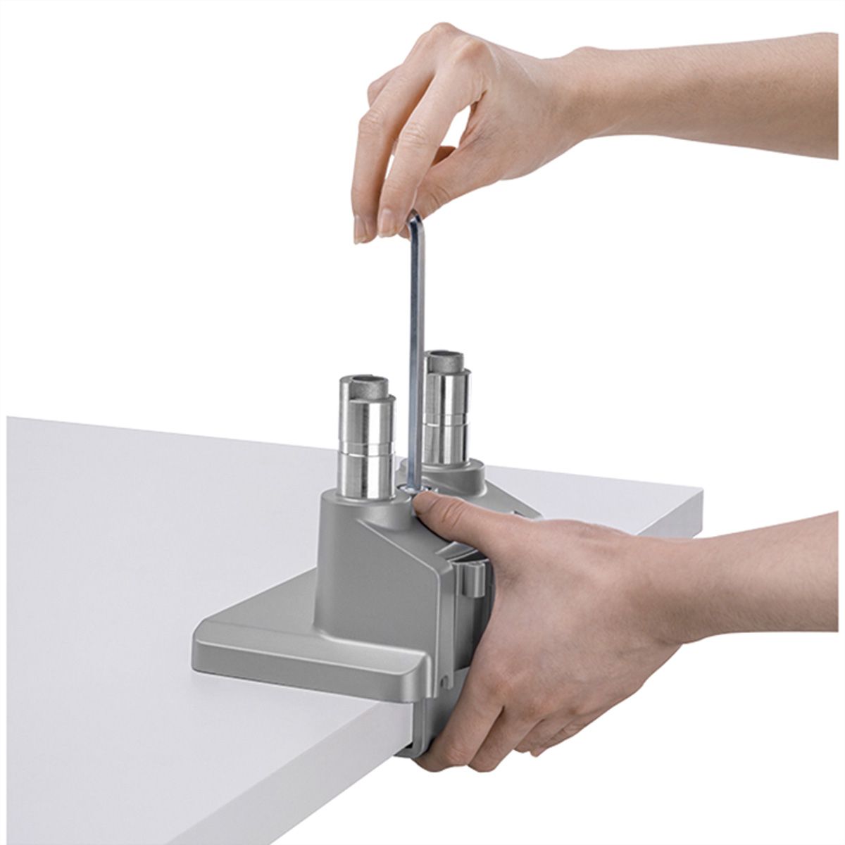 ROLINE Support double LCD, vérin à gaz, 5 articulations, fixation sur bureau, 17-23", jusqu'à 2x 9 kg, argent