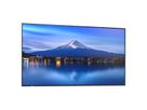 Sharp Signage Display MultiSync P556, 55", UHD, 24/7, 700cd/m²