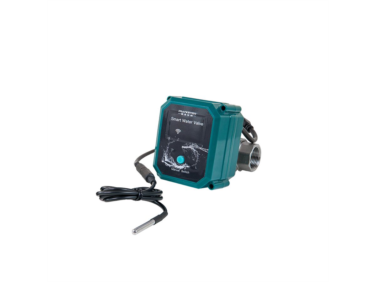 Shelly FrankEver Ventilsteuerung DN25