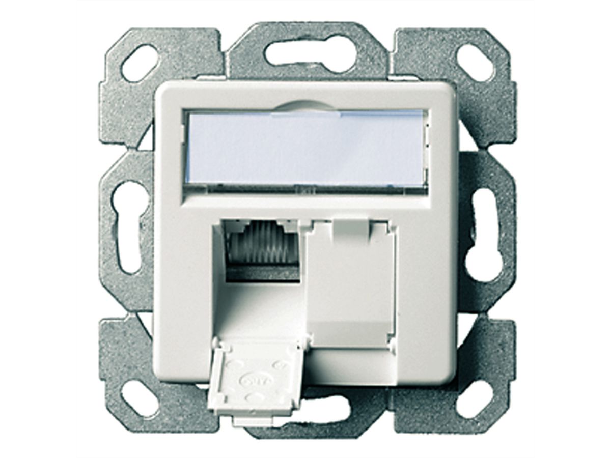 TELEGÄRTNER Dose AMJ45 UP/50 2x RJ-45 Cat.6A (Class EA), alpinweiss