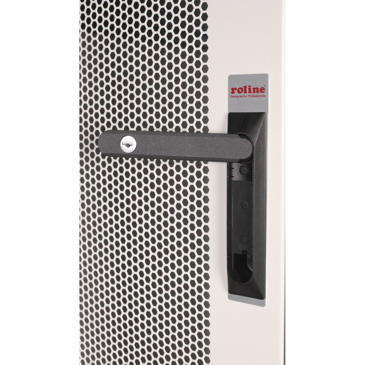 ROLINE 19" Baie serveur Basic 42U, 600x1000 LxP Porte perforée gris