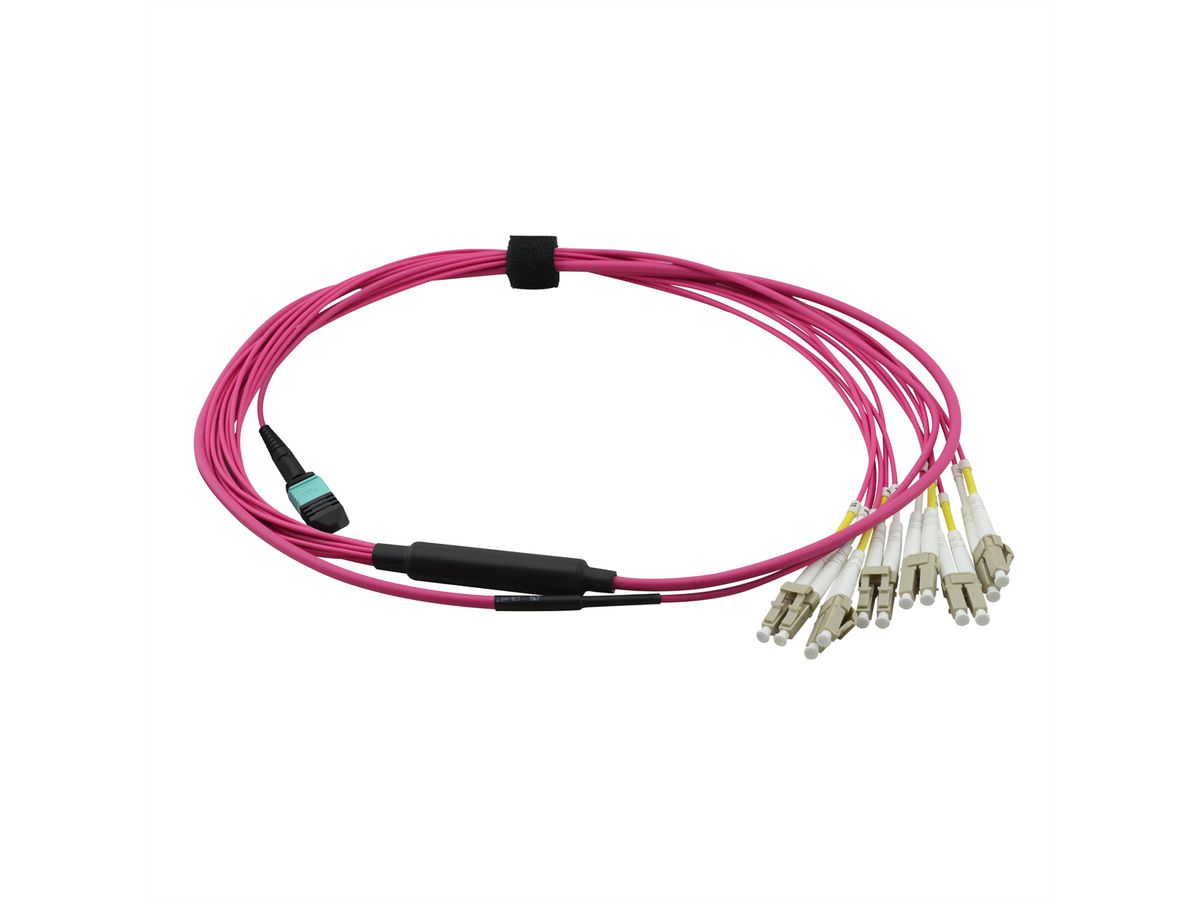 VALUE Câble MPO Fan-Out 50/125µm OM4, MPO / 12xLC, violet, 2 m
