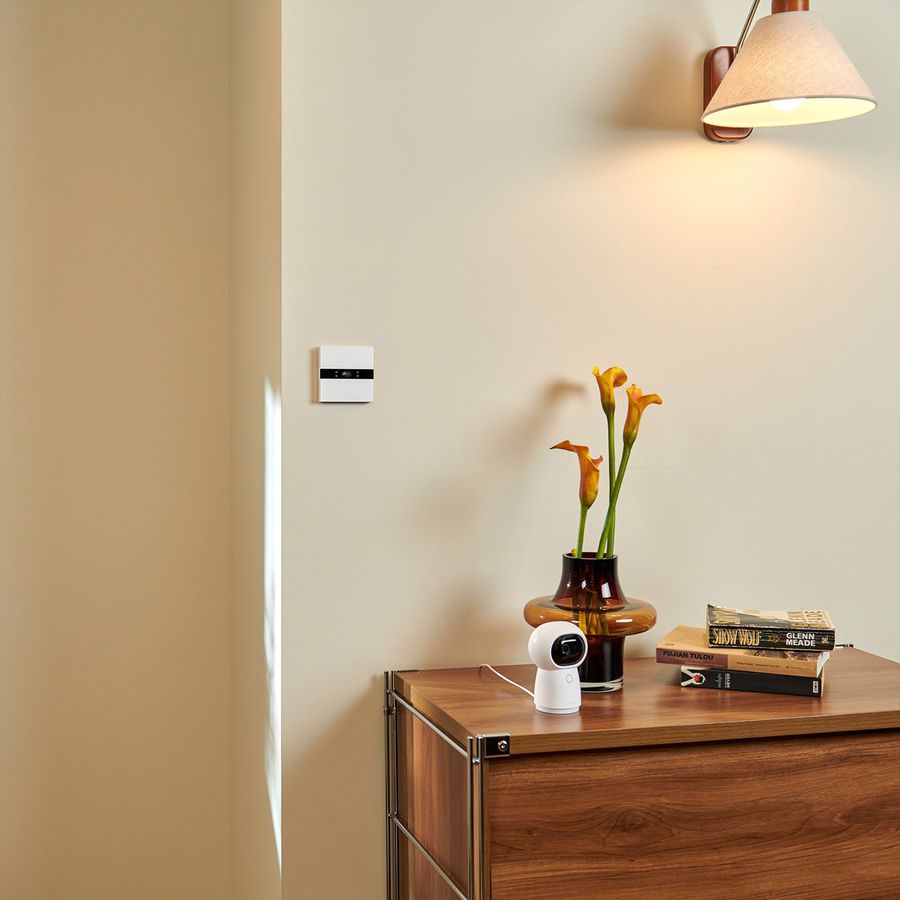 Aqara Display Switch V1