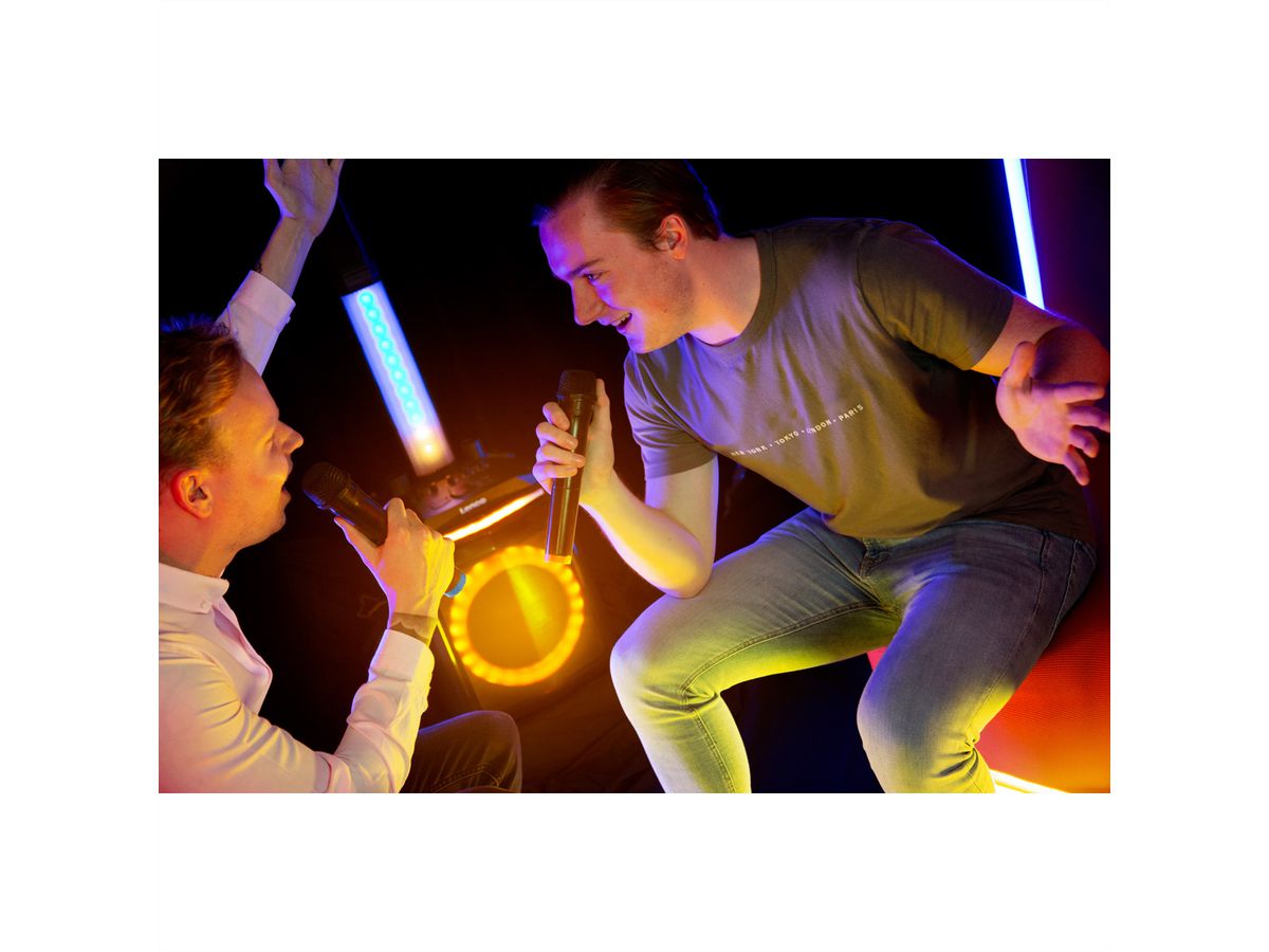 Lenco 2x Wireless Mikrofon MCW-020BK