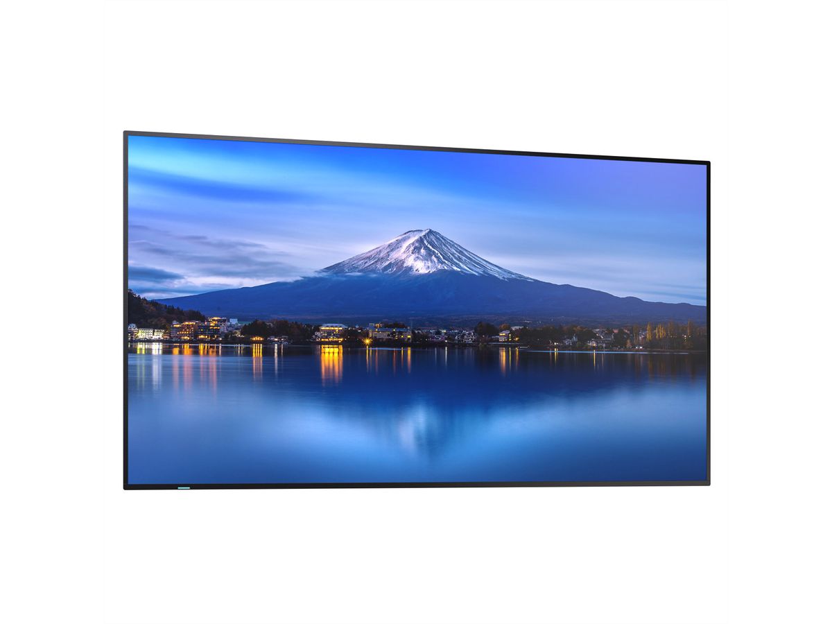Sharp Signage Display MultiSync P656, 65", UHD, 24/7, 700cd/m²