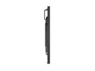 Sharp Signage Display MultiSync P436, 43", UHD, 24/7, 700cd/m²