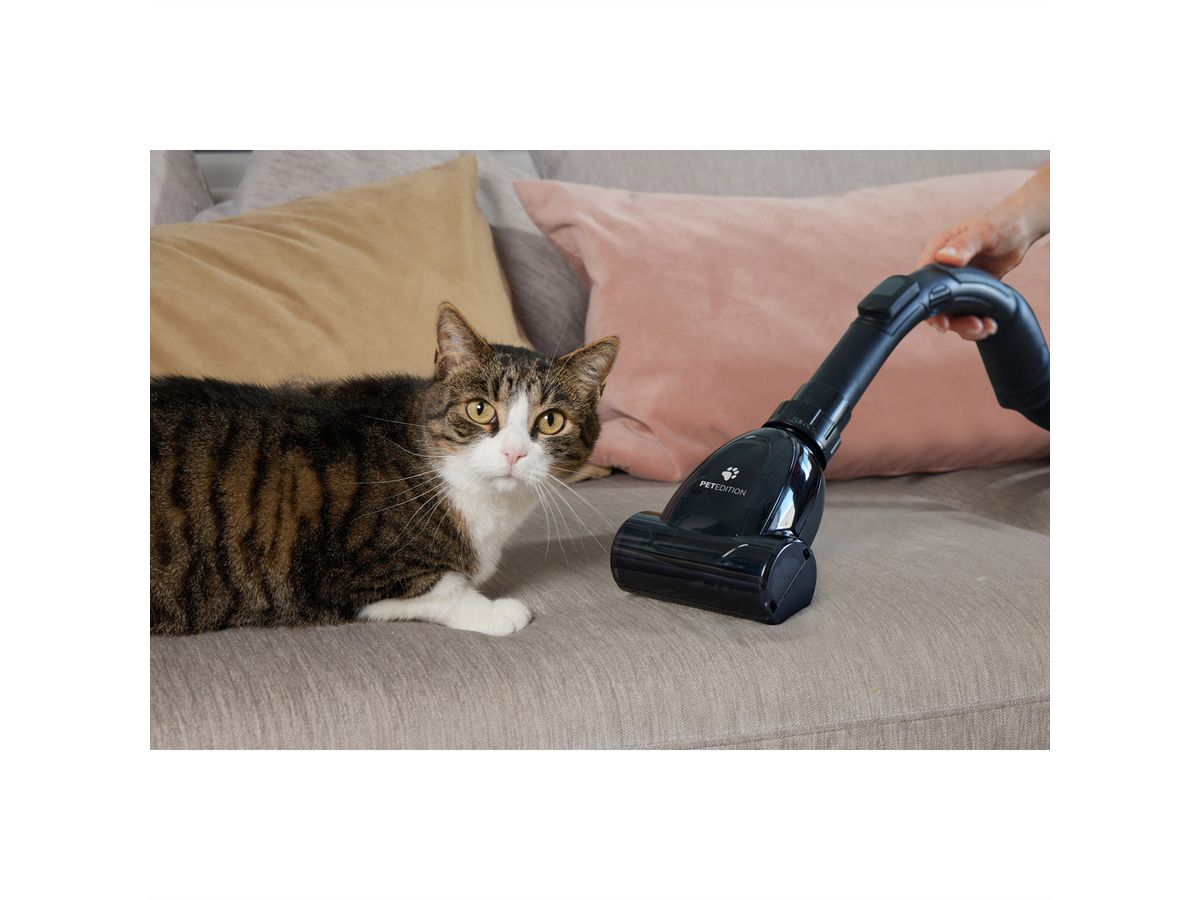 Gorenje Staubsauger VCE08GAPGOCY, 170W, 3,3L, beutellos