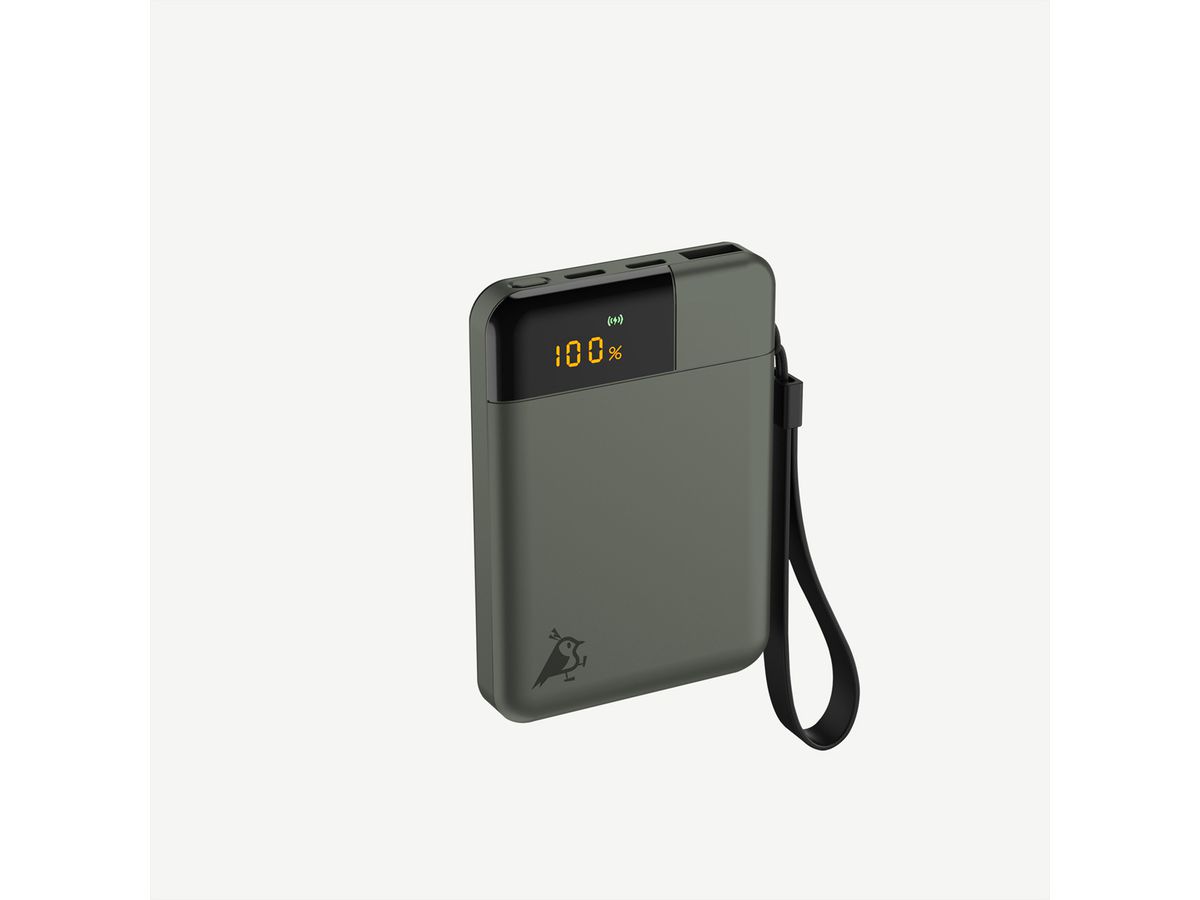 Aqiila Powerbank Powerbird B10, 12W, vert mousse, 5.000 mAh
