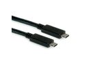 ROLINE GREEN Câble USB 3.2 Gen 2, avec PD (Power Delivery), avec Emark, C-C, M/M, noir, 1 m