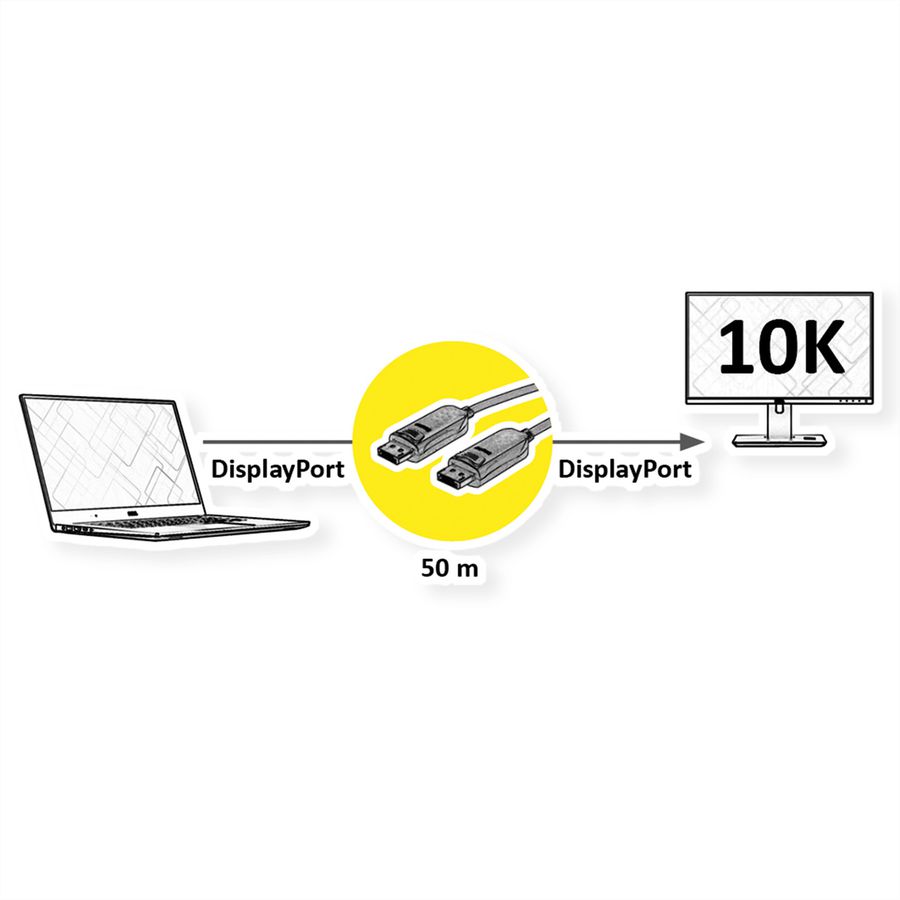 ROLINE Câble DisplayPort v2.1 (AOC), M/M, 50 m