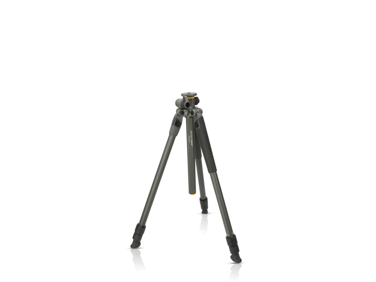 Vanguard Alta Pro 2+ 263AP Stativ, grau