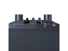 Lenco PA-220BK, 2 microphones,, BT, lumière de fête, 120W RMS