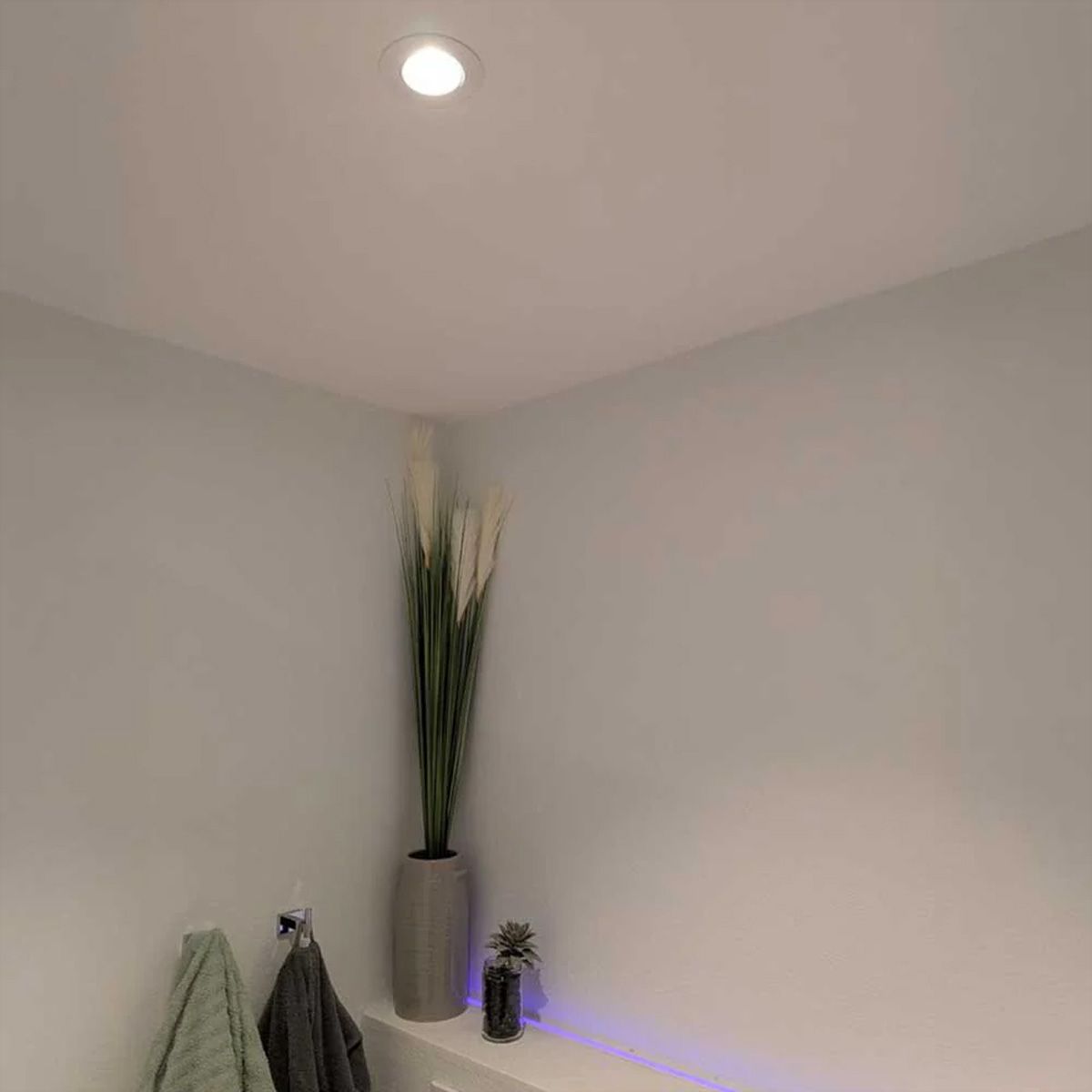 Shelly LightSolutions Hilux DS8, weiss