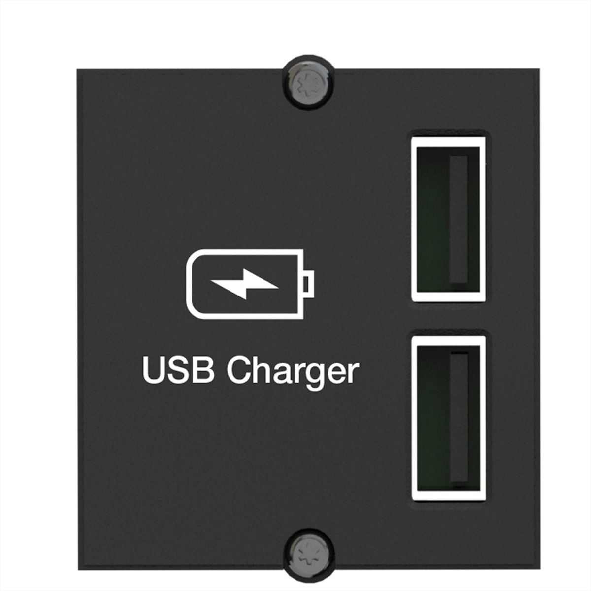 BACHMANN Module Custom USB Double-chargeur, noir, 0,2 m