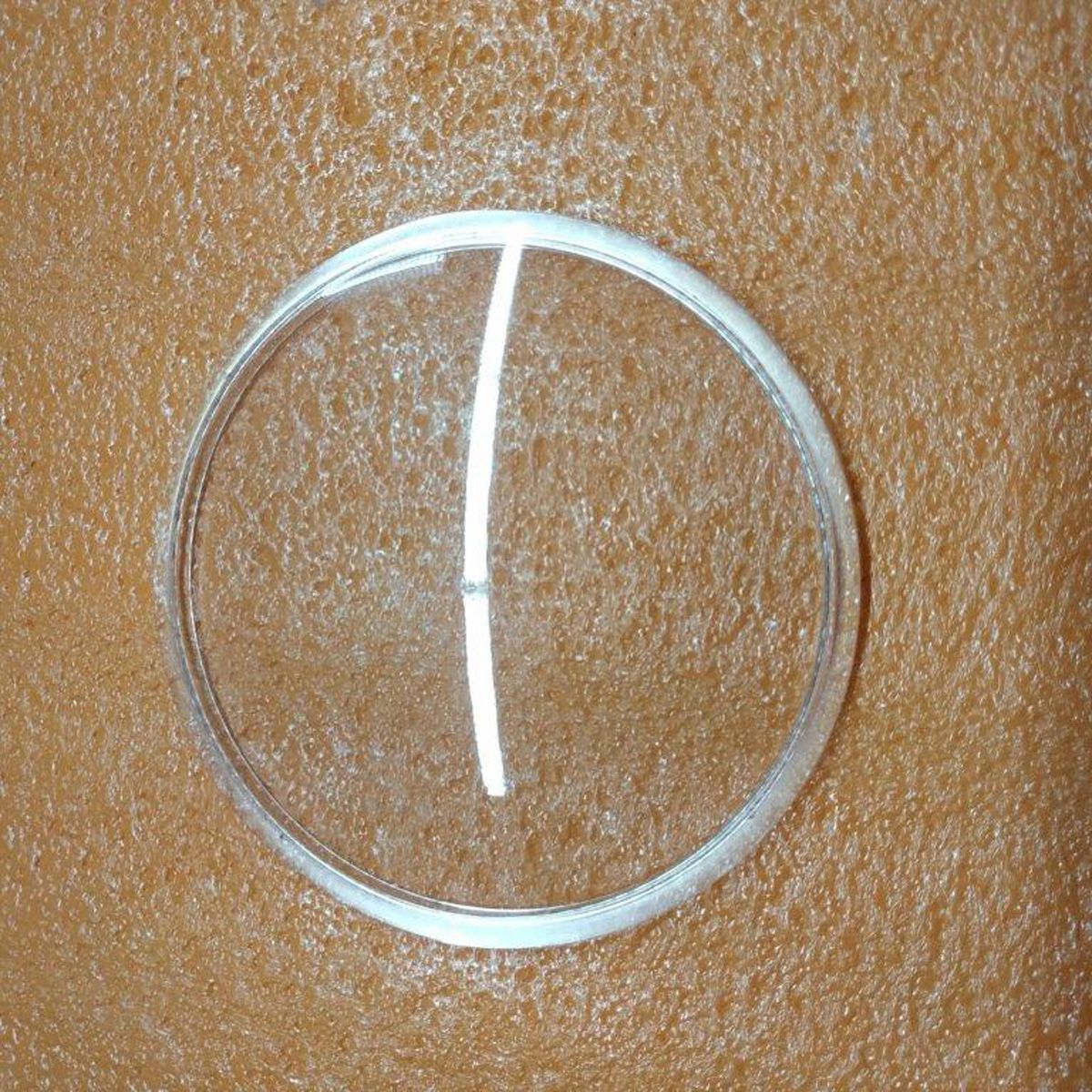 Deckel zu Bohnenbehälter Typ 1661